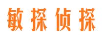 临澧找人公司